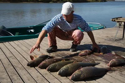 Рыбалка в Астрахани — Турбаза «ЗЮЙД-ВЕСТ»