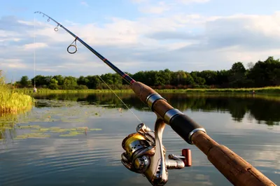 Рыбалка в Астрахани — особенности ловли рыбы в Астрахани 2023: как и на что  ловить