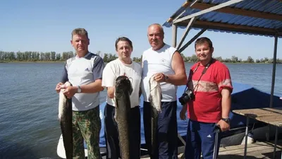 Рыбалка в Астрахани недорого | Рыбалка в ВЕРХНЕЛЕБЯЖЬЕ FISH RESORT на Волге