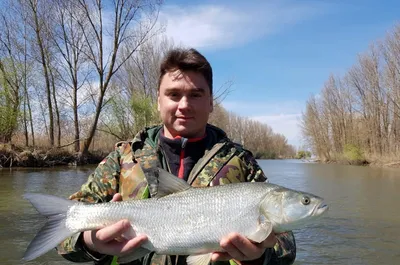 Рыбалка в Астрахани в дельте Волги
