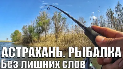 Рыбалка в Астрахани 2024—2025: лучшие места, где можно ловить рыбу, с  ценами и описанием