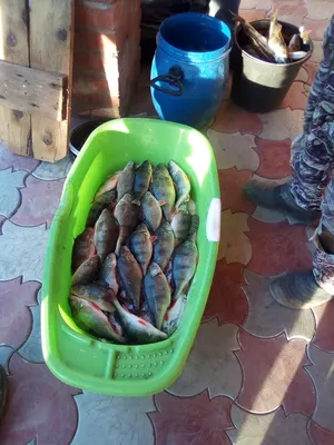 Рыбалка в Астрахани в начале июня 2018