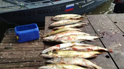 Лучшие места для рыбалки в Астраханской области - KP.RU