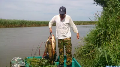 Рыбалка в Астрахани осенью. Какие снасти и приманки брать с собой. | Рыбалка  с дядей Сашей | Дзен