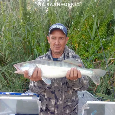 Весенняя рыбалка в Астрахани - FISH-CLUB