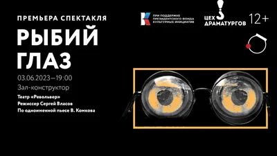 Объектив рыбий глаз Ulanzi HD 7.5mm 238 Fisheye Lens (id 68582877)