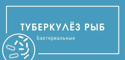 Акулий жир и живокост с муравьиной кислотой и хондроитином, гель для тела  разогревающий, 75 мл, Твинс Тэк АО от 230 руб. в Москве