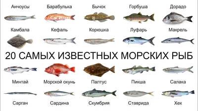 Рыбы Адриатики Дрифтвуд Панно на стену Рыба 32-38 см в интернет-магазине  Ярмарка Мастеров по цене 1400 ₽ – T1QO6RU | Элементы интерьера, Москва -  доставка по России