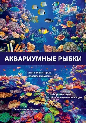 Плавать дома Аквариум Товары для домашних животных Искусственные поддельные  плавающие рыбы Декоративные рыбы Аквариумные украшения – лучшие товары в  онлайн-магазине Джум Гик