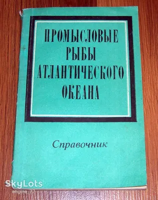 Рыбы Атлантического Океана Коллекция Векторных Иллюстраций Черного Силуэта  — стоковая векторная графика и другие изображения на тему Иллюстрация -  iStock