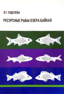 О зимней рыбалке на Байкале и о Омуле. — DRIVE2