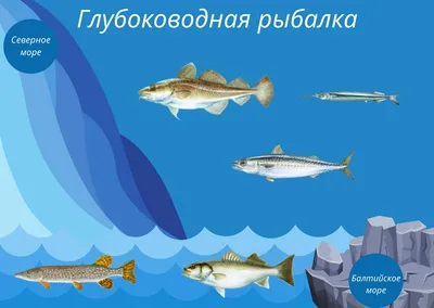 FishingBooker: Рыбалка в Швеции: все, что вам надо знать