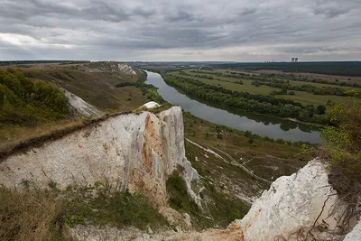 В хохольском селе Гремячье в реке Дон погибла краснокнижная рыба налим