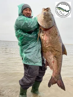 Морские глубины, темно, страх, рыбы…» — создано в Шедевруме