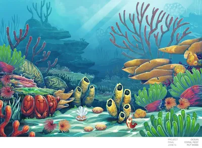 Самые необычные рыбы мирового океана (10 фото)