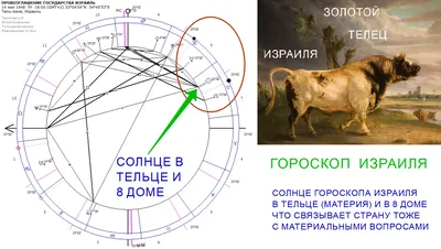 Летучие рыбы Израиля — Рыба-фиш по-эйлатски