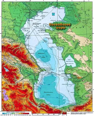 На кого порыбачить в Каспийском море