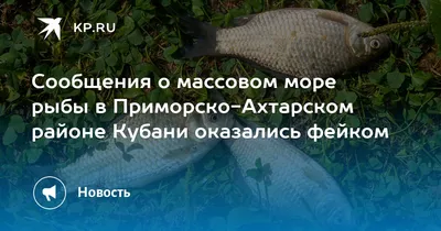 Оценят разницу»: кубанские рестораторы о росте закупочных цен на рыбу — РБК