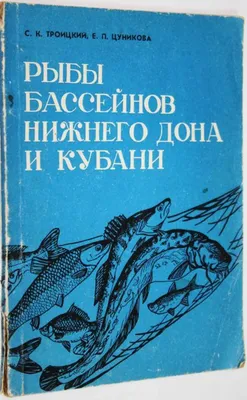 Купить кефаль Невод Кубани Черноморская непотрошеная охлажденная 350 г,  цены на Мегамаркет | Артикул: 100033206345