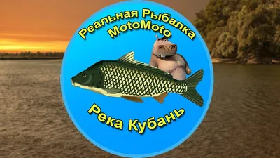 Солим красную рыбу к Новому году: три простых и быстрых рецепта - 9  декабря, 2023 Статьи «Кубань 24»