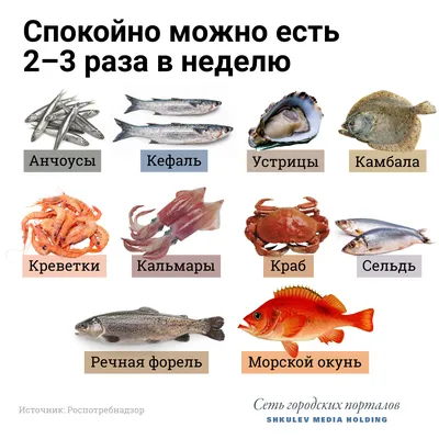 Почему мельчает рыба в море и на столах севастопольцев? | ForPost