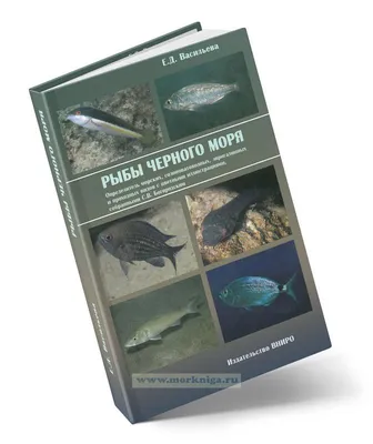 Рыбы в Балтийском море меньше, качество ее хуже; предприниматели ищут новые  возможности / Статья