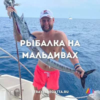 FishingBooker: Рыбалка на Мальдивах: Краткий путеводитель для начинающих