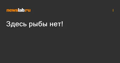 Футболка \"Здесь рыбы нет\" - купить в интернет-магазине «Спецназ ДВ»