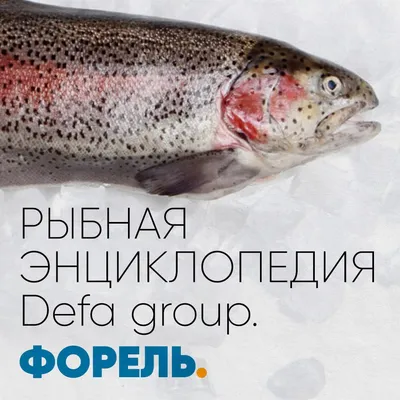 Какая рыба вылавливается в России? Дальний Восток vs. Север | fish2o |  производитель премиум лосося | Дзен