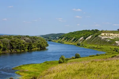 На реке Дон в Волгодонском районе Ростовской области пресечен незаконный  вылов рыбы - Азово-Черноморское территориальное управление Росрыболовства ;)