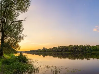 Рыбы реки Амур