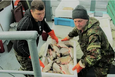 Fishing Troops Russian | Facebook