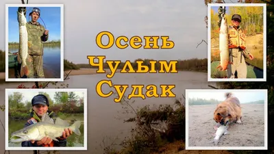 Отчет о рыбалке: Река Обь — городской округ Новосибирск — Новосибирск —  Сибирский федеральный округ, Новосибирская область — № 40544 —  fishing-report.ru