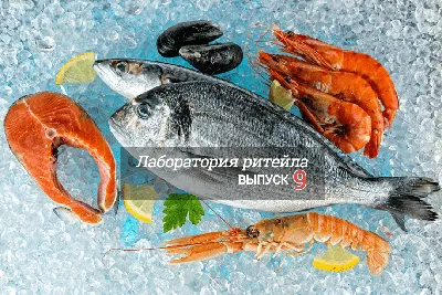 Экспорт рыбы и морепродуктов из России вырос почти на 30% | Ветеринария и  жизнь