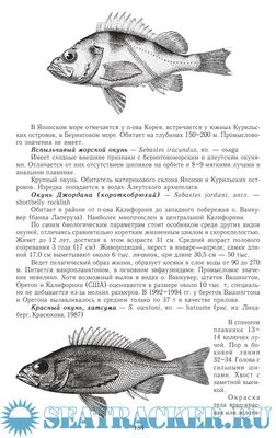 Самые жуткие обитатели морской бездны: 30 сентября 2014, 01:09 - новости на  Tengrinews.kz