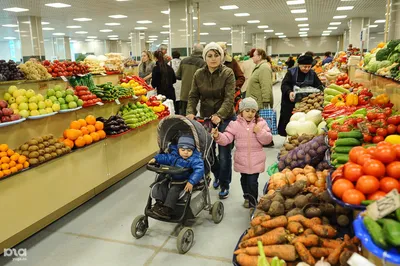 Новость: В Сочи может появиться рыбный рынок