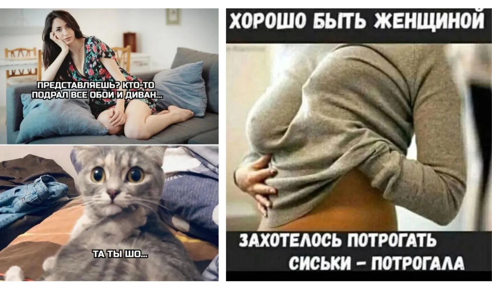 Прикольные картинки с надписями и кто подрал диван | Mixnews Прикольные картинки с надписями и кто подрал диван | Mixnews