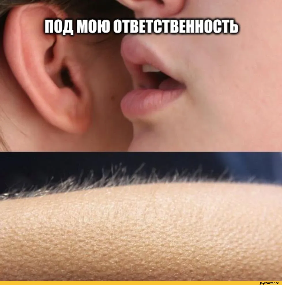 картинки на аву смешные / смешные картинки и другие приколы: комиксы, гиф анимация, видео, лучший интеллектуальный юмор. картинки на аву смешные / смешные картинки и другие приколы: комиксы, гиф анимация, видео, лучший интеллектуальный юмор.