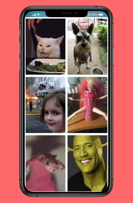 Мемы Обои Смешные Картинки HD скачать бесплатно Полезные инструменты на  Android из каталога RuStore от Соколов Максим Андреевич