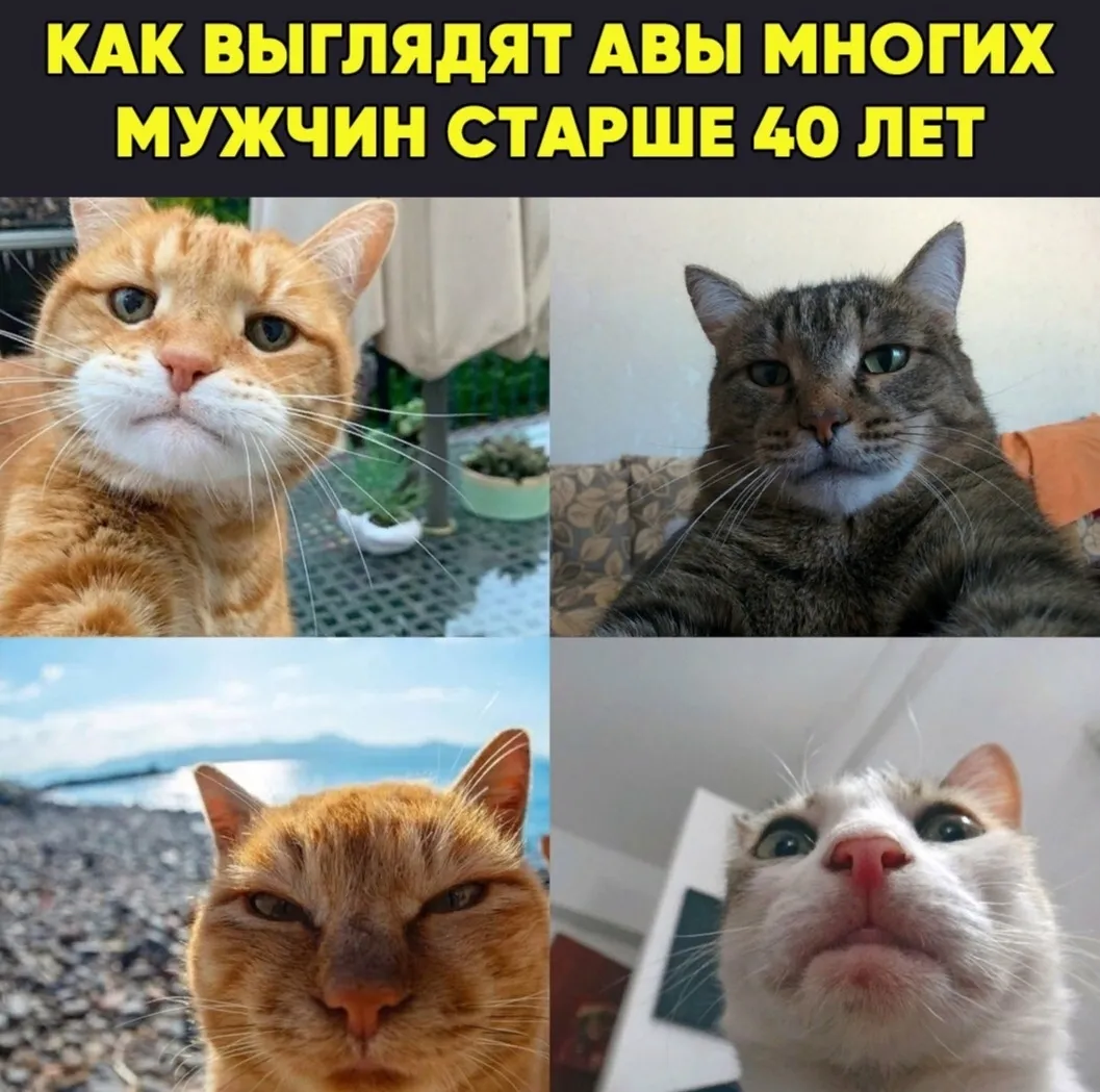 Самые прикольные картинки и Мемы с надписями Самые прикольные картинки и Мемы с надписями