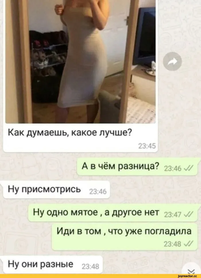 обезьяна обои, Hd бесплатные обои, прикольные картинки обезьян фон картинки и Фото для бесплатной загрузки обезьяна обои, Hd бесплатные обои, прикольные картинки обезьян фон картинки и Фото для бесплатной загрузки