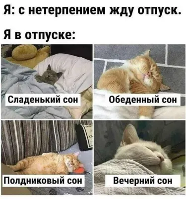 Прикольные картинки ржачные