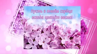 С 8 марта, дорогие девушки! в Тольятти - Жалюзинск!