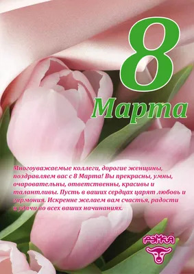 Поздравление Владимира Колокольцева с Международным женским днём 8 Марта