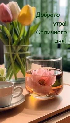 Необычные гифки \"Доброго утра!\" (99 шт.)