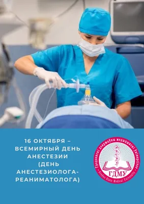 ТЕМАТИЧЕСКИЕ УКРАШЕНИЯ on Instagram: \"С днём анестезиолога💉 ⠀ Анестезиолога,  властителя царства Морфея, поздравляем с самым прекрасным праздником! ⠀  Преклоняюсь перед вашим профессионализмом, восхищаюсь чуткостью и  участливостью, внимательностью к ...