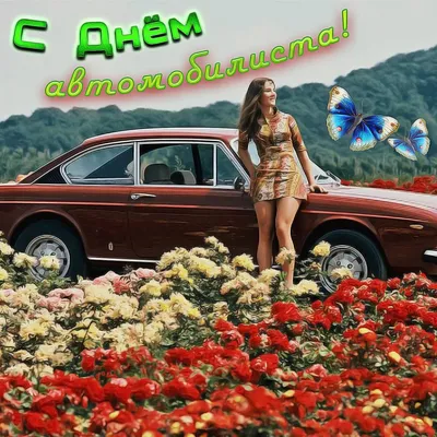 С#Днем#водителя#Автоледи#поздравляю#🚗🌹🌹🌹🚐🚙🥰🩷 | TikTok