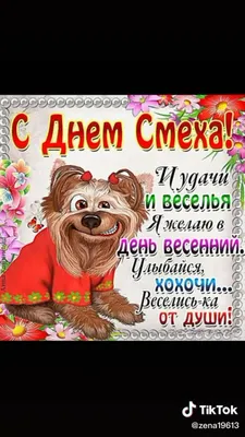 Сегоня День дурака, или День смеха! Это международный праздник, отмечаемый  во всем мире 1 апреля - Лента новостей Запорожья