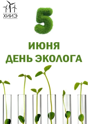 Поздравление от Главы Красноярского муниципального района Михаила Белоусова  с днем эколога