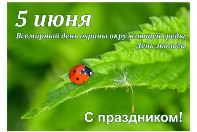 Поздравляем с нашим праздником: День Эколога - 5 июня. Новости. Кафедра  «Химия и инженерная экология»